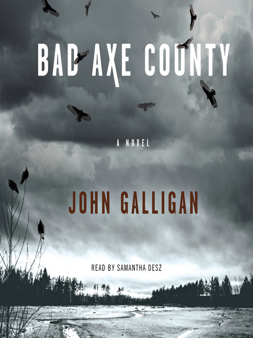 Title details for Bad Axe County by John Galligan - Wait list